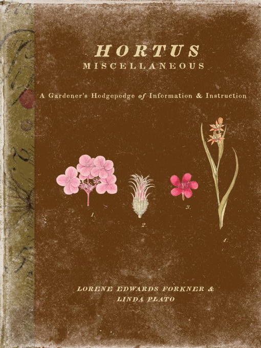 Title details for Hortus Miscellaneous by Lorene Forkner - Wait list